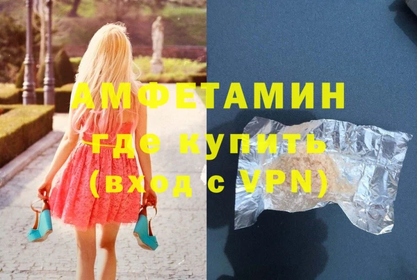 молекула духа Арсеньев