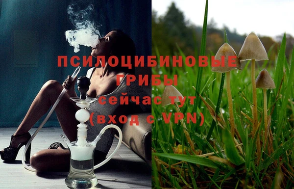 эйфоретик Аркадак