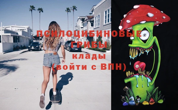 молекула духа Арсеньев