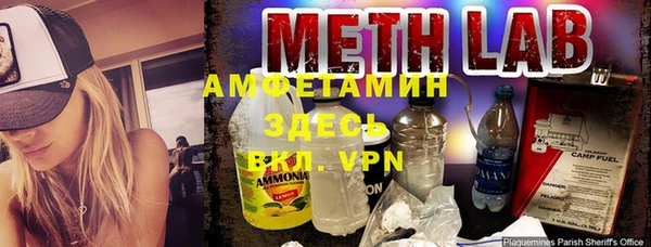 молекула духа Арсеньев