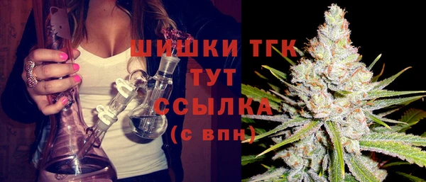 эйфоретик Аркадак