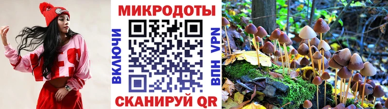 Галлюциногенные грибы ЛСД  Багратионовск 